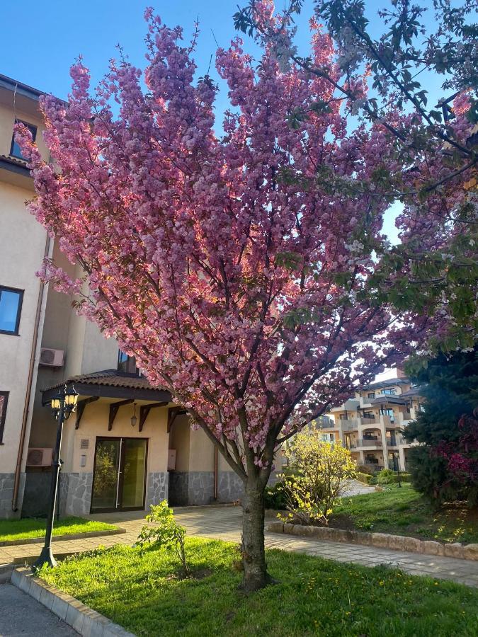 59 Kaliakria Seaview Luxury Apartment Topola Eksteriør bilde