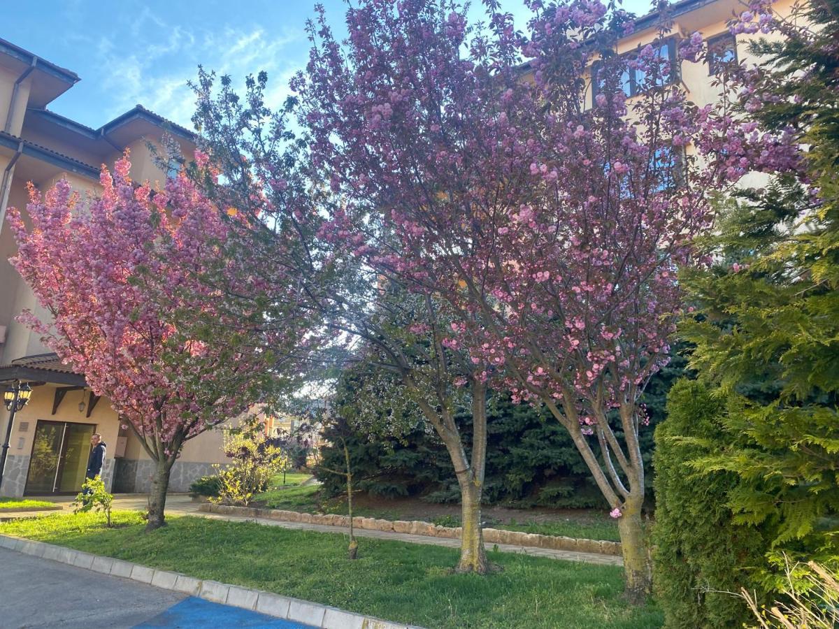 59 Kaliakria Seaview Luxury Apartment Topola Eksteriør bilde